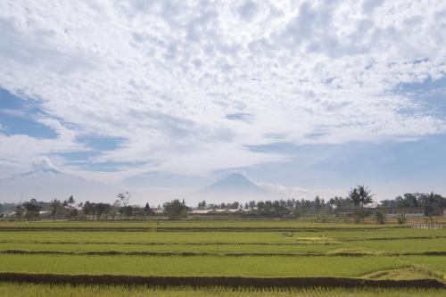 a large green field with a mountain in the background at Sevilla Resort Magelang in Magelang