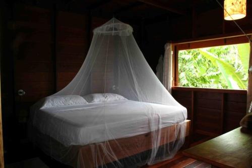a bedroom with a bed with a mosquito net at La Ceiba Reserva Natural in Puerto Viejo