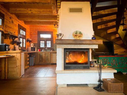 - un salon avec une cheminée dans une cabine dans l'établissement Sosnowy domek w rezerwacie nad Narwią, à Bokiny