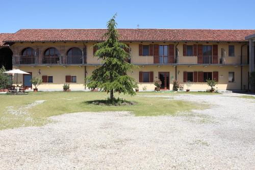 a pine tree in front of a building at Al Casale B&B in Cherasco