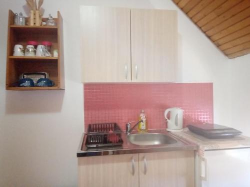 a kitchen with a sink and a counter top at Studio Krejović sa zasebnim kupatilom i čajnom kuhinjom in Zlatibor