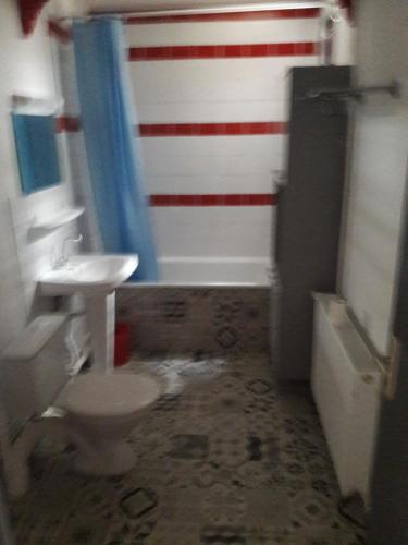 łazienka z amerykańską flagą pomalowaną na ścianie w obiekcie le Gite de illian w mieście Saint-Michel