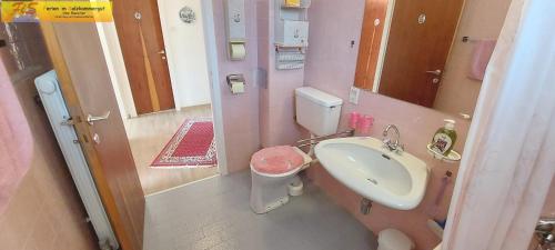 a small bathroom with a sink and a toilet at Apartment Adam by FiS - Fun in Styria in Bad Mitterndorf