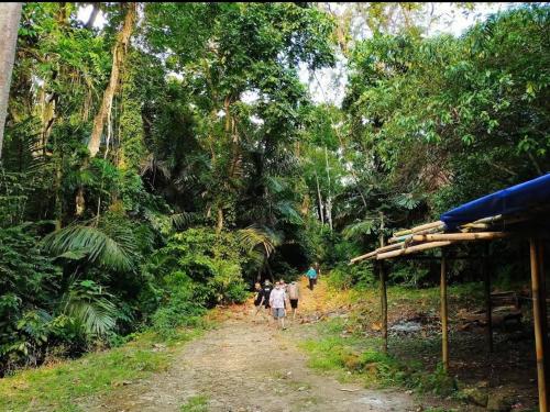 Un groupe de personnes se promenant sur un chemin de terre dans la jungle dans l'établissement Cilacap Guest House, à Cilacap