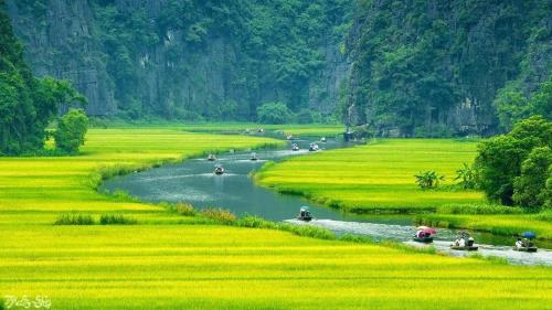 a group of boats on a river in a field at Lys Homestay in Ninh Binh