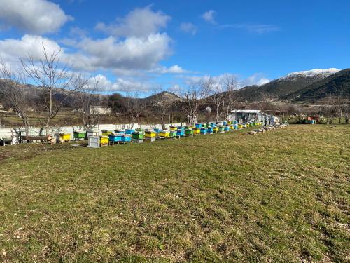 a row of colorful boats sitting in a field at Progon House in Tepelenë