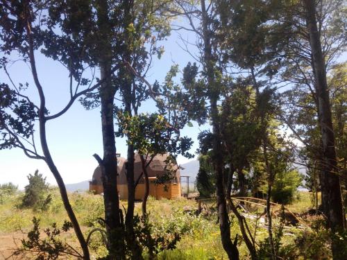 a house through the trees in a field at Cabañas Domos May-Ling in Ensenada
