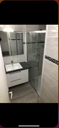 une salle de bain avec douche et lavabo dans l'établissement Studio sur le port, à La Grande Motte