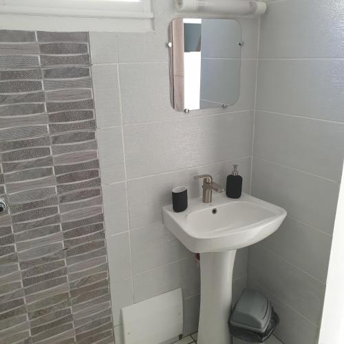 un baño con lavabo y espejo en KAY LUCY, en Case-Pilote