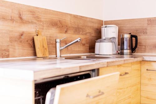 a kitchen with a sink and a counter top at Pension Dorfliebe in Sondershausen