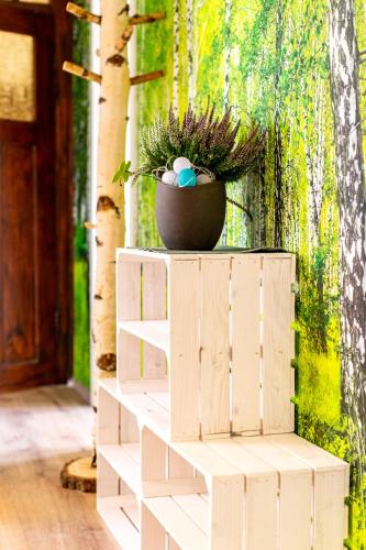a white shelf with a plant in a pot on top at Pension Dorfliebe in Sondershausen