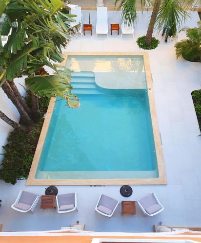 an overhead view of a swimming pool with lounge chairs at Merida Santiago Hotel Boutique in Mérida