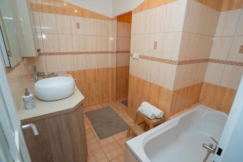 ein Badezimmer mit einem Waschbecken und einer Badewanne in der Unterkunft Apartment Ivet in Hazlov