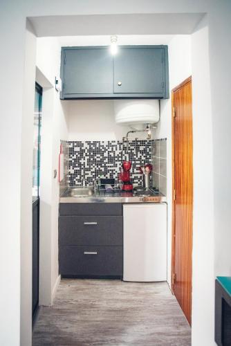 une petite cuisine avec un évier et un comptoir dans l'établissement Studio cosy les pieds dans l'eau, climatisé, Parking privé, Vue montagne, à San-Nicolao