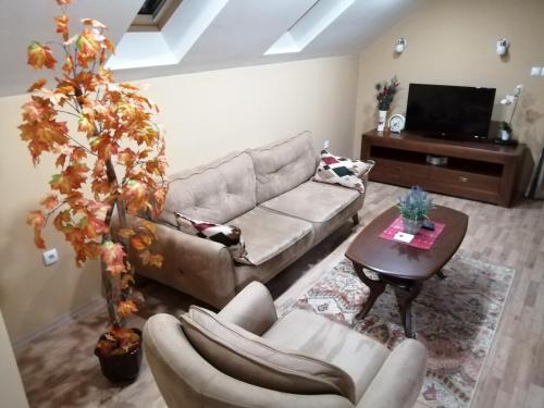sala de estar con sofá y mesa en Apartmani Milošević en Ivanjica