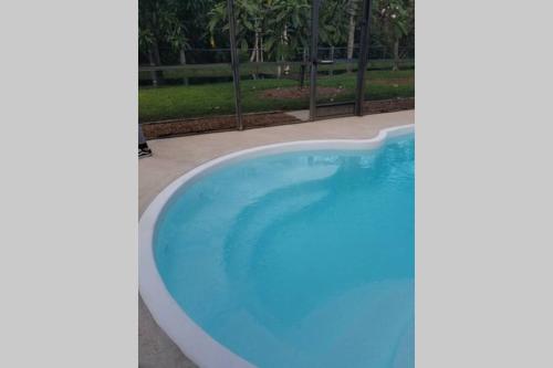 a large pool with blue water in a yard at Bonita Oasis in Bonita Springs