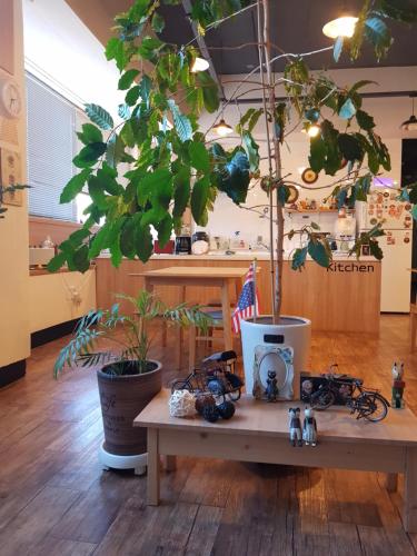 a wooden table with a tree in a room at Sokcho & Guesthouse in Sokcho