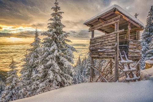 a cabin in the snow with a christmas tree at Hotel Gailberghöhe in Kötschach