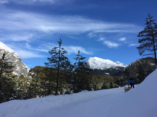 a person on skis in the snow in the mountains at Landhaus Mair in Scharnitz