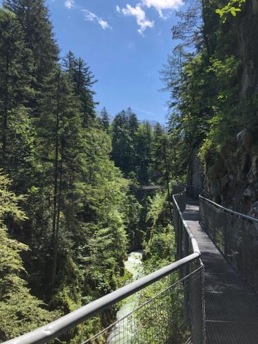 a suspension bridge over a river in a forest at Landhaus Mair in Scharnitz