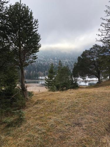 a hill with trees and a body of water at Landhaus Mair in Scharnitz