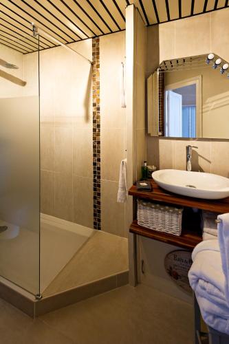 une salle de bain avec douche et lavabo dans l'établissement Côté Loire, à Amboise