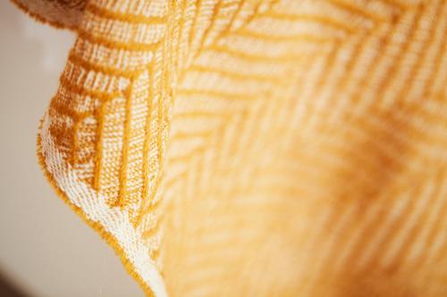 a close up of a close up of a yellow feather at B&B Armalot by Julia in De Panne