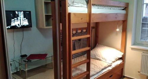 Litera con TV en una habitación en Apartmán v Liliové, en Jablonec nad Nisou