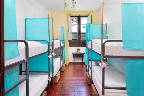 a room with two bunk beds in it at Patio Hostel in Las Lagunas
