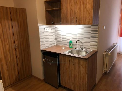 A kitchen or kitchenette at Kálvin Vendégszobák
