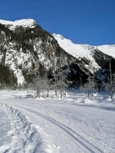 a snow covered road with trees and a mountain at Ferienwohnungen Angermaier in Flattach