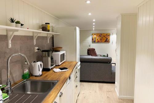 a kitchen with a sink and a couch in a room at Newly renovated basement apartment in Sarpsborg