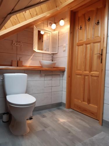 a bathroom with a toilet and a sink at Kocisówka in Lipowa