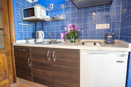 a small kitchen with a sink and a microwave at Apartamentos Montesclaros in Granada