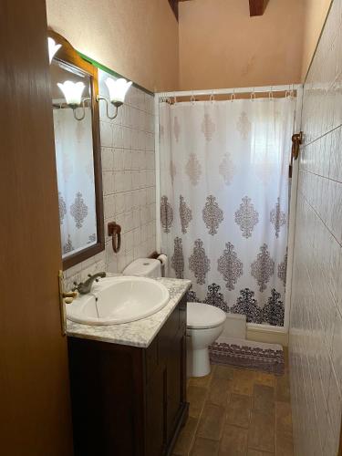 a bathroom with a sink and a toilet and a shower at Caseta Les Creus in Riumar