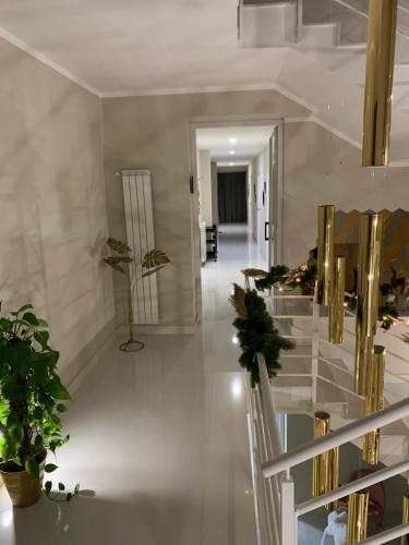a hallway of a house with stairs and potted plants at Hotel Elite in Varcaturo