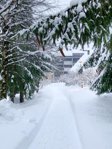 a snow covered street with trees and a building at La Casa di Carmen in Tarvisio