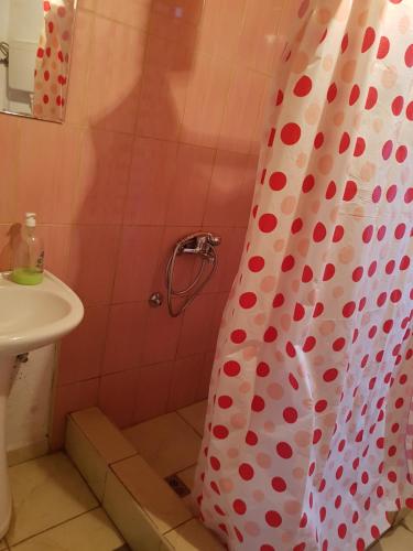 un bagno con tenda da doccia e lavandino di Captain s house a Konjic