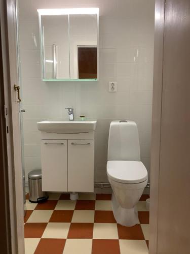 a bathroom with a toilet and a sink and a mirror at Herrgårdsflygel mitt i Sörmland in Malmköping