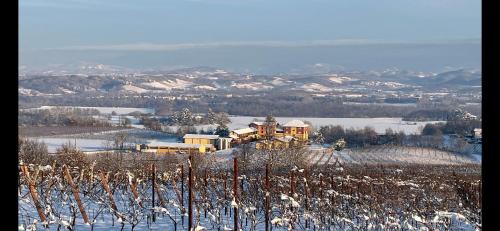 Tenuta Montebello – Photos 3
