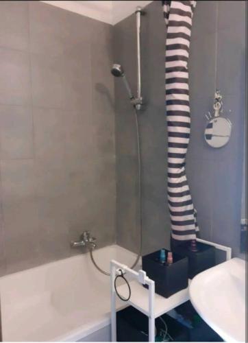 a bathroom with a shower and a sink and a tub at LE ORIGINI casa in borgo tipico lucano in Trivigno