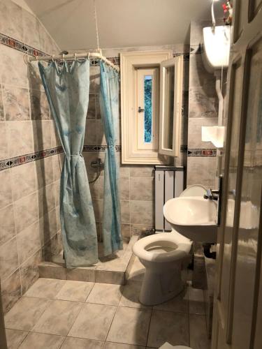 a bathroom with a toilet and a sink at Ibis in Sovata