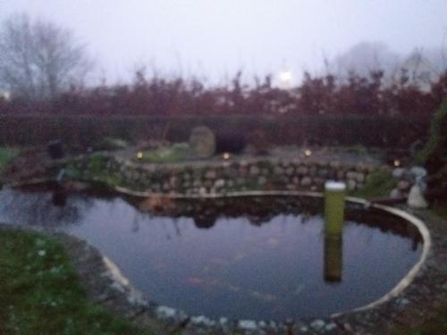 a pond in a garden in a park at Villa in Brande in Gammel Blåhøj