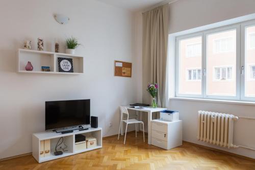TV a/nebo společenská místnost v ubytování Homey Flat in Vinohrady by Prague Days