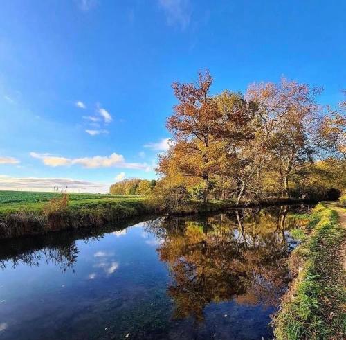 a river with a tree and its reflection in the water at Gîte du Parc des Mauves in Meung-sur-Loire