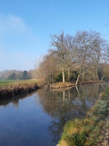 a river with trees on the side of it at Gîte du Parc des Mauves in Meung-sur-Loire