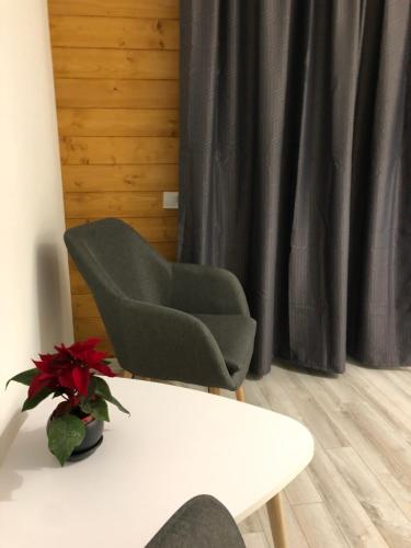a living room with a table and a chair at Konopka Forest Home & SPA in Bukovel
