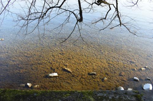 a body of water with rocks in the water at Hotel Lindenallee in Lindau