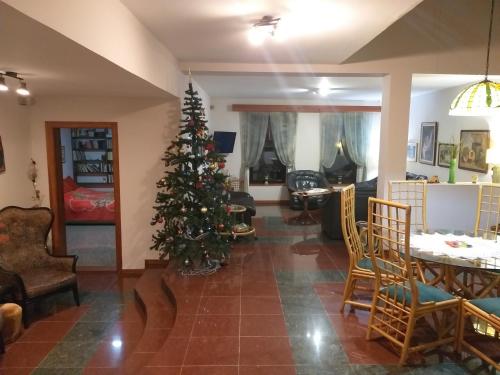Un lugar para sentarse en vila zelenac