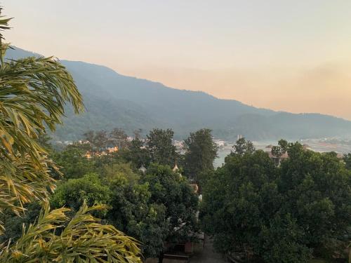 リシケーシュにあるRaj Cottage Ganga Vatikaの山を背景にした木々